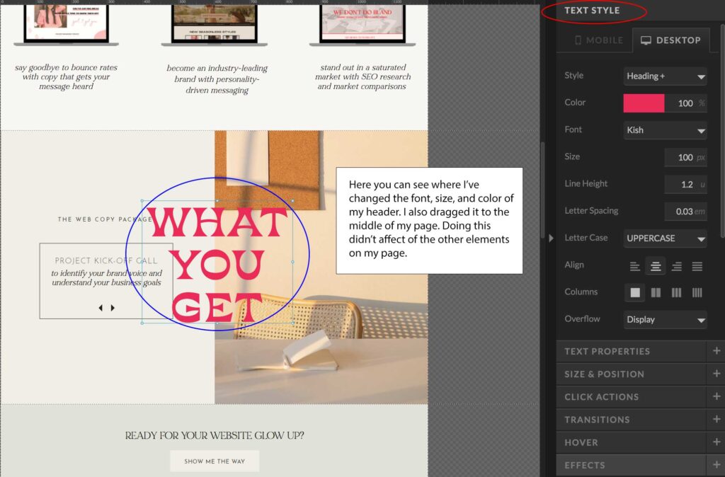 Showit website design with drag-and-drop customization features